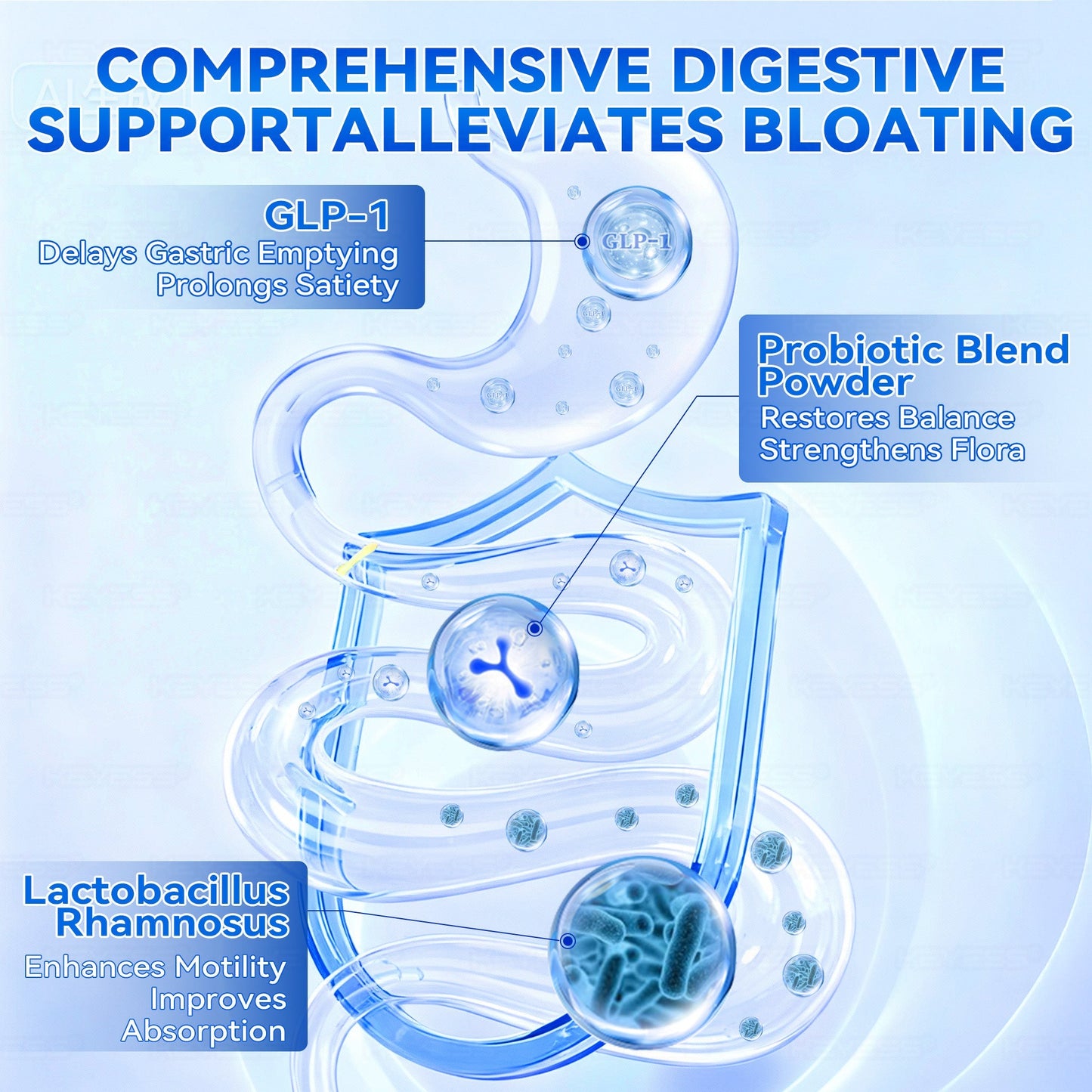 HZA® Intestinal Cleansing 👑 ( More than just slimming, it comprehensively boosts your metabolism)